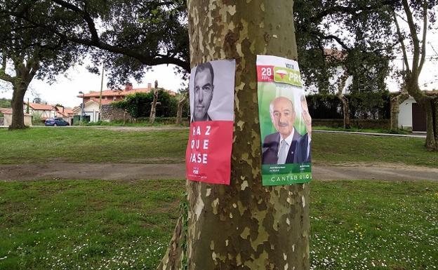 Ciudadanos denuncia a PRC y PSOE por poner carteles electorales en árboles de Ribamontán al Monte