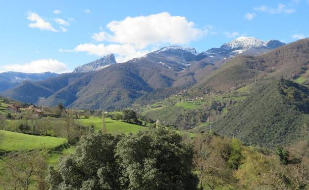 La ruta circular de Lerones, un paseo con olor a romero