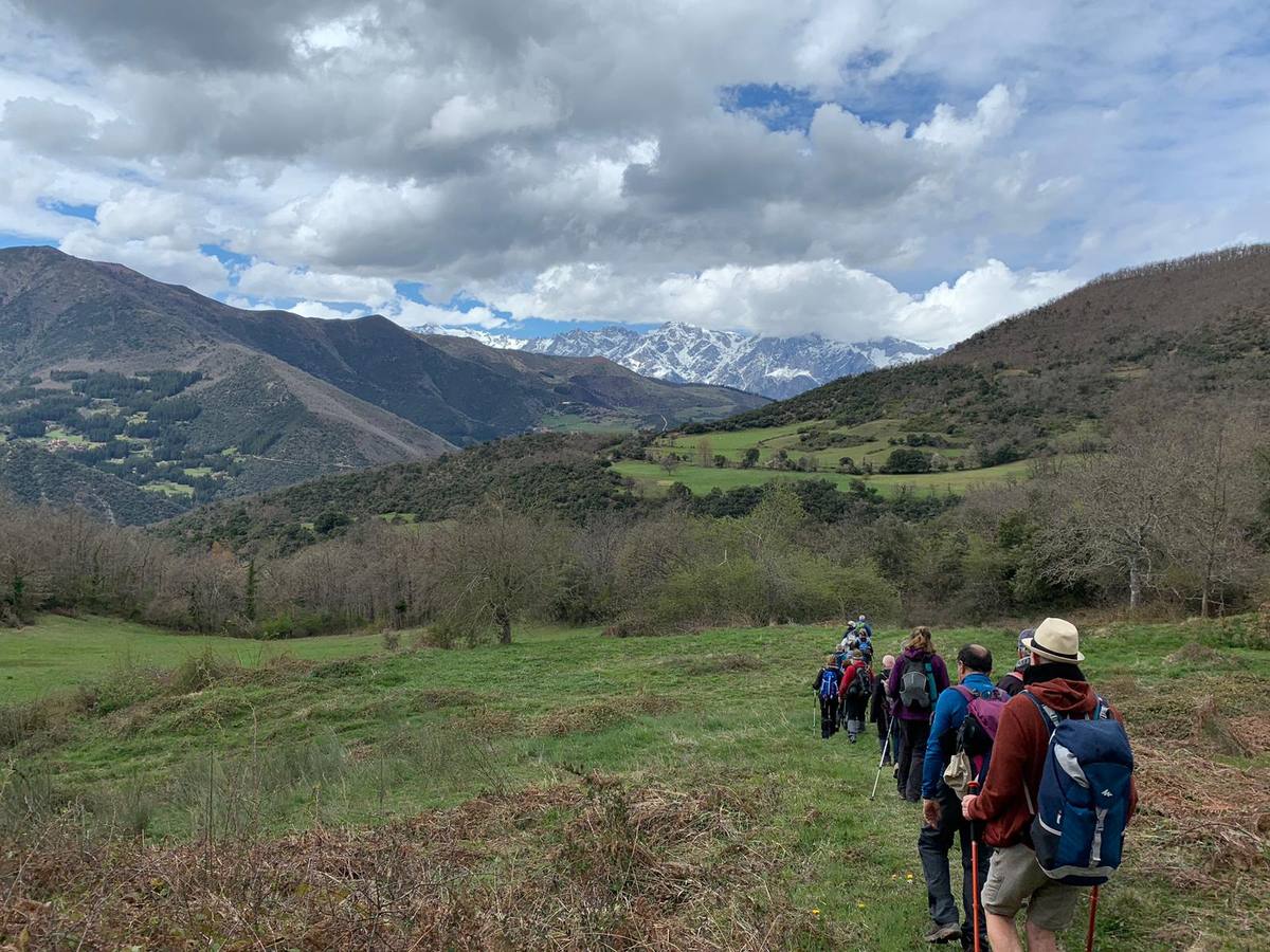 La ruta circular de Lerones, un paseo con olor a romero