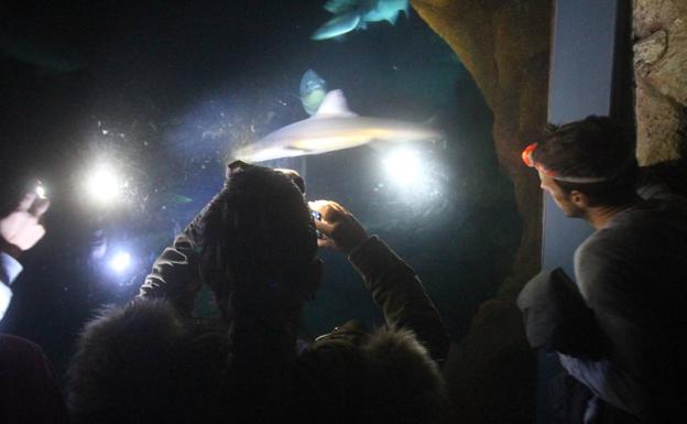 Los museos de Santander abren de noche para los jóvenes, y es gratis
