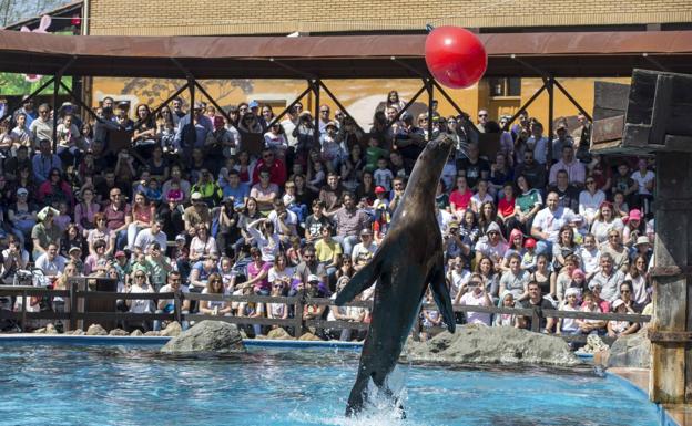 Las instalaciones de Cantur recibieron un 10% más de turistas durante esta Semana Santa