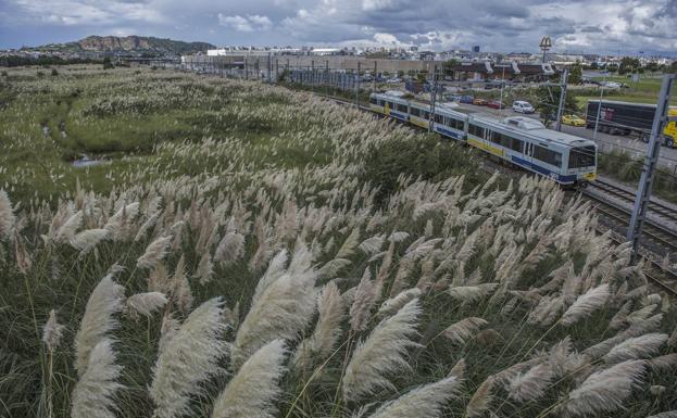 Suelo 'tecnológico' contra los plumeros