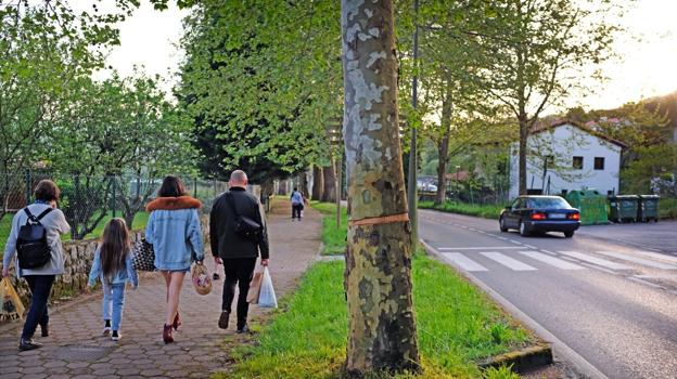 Cortan el contorno de un árbol y lo rocían con gasoil en Comillas