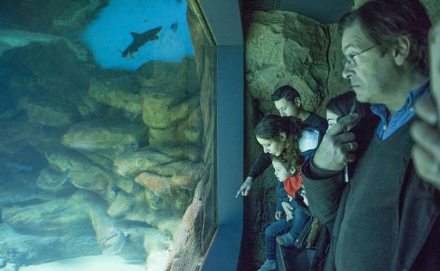 Más de 12.600 personas han visitado los museos y cuevas de Cantabria en Semana Santa