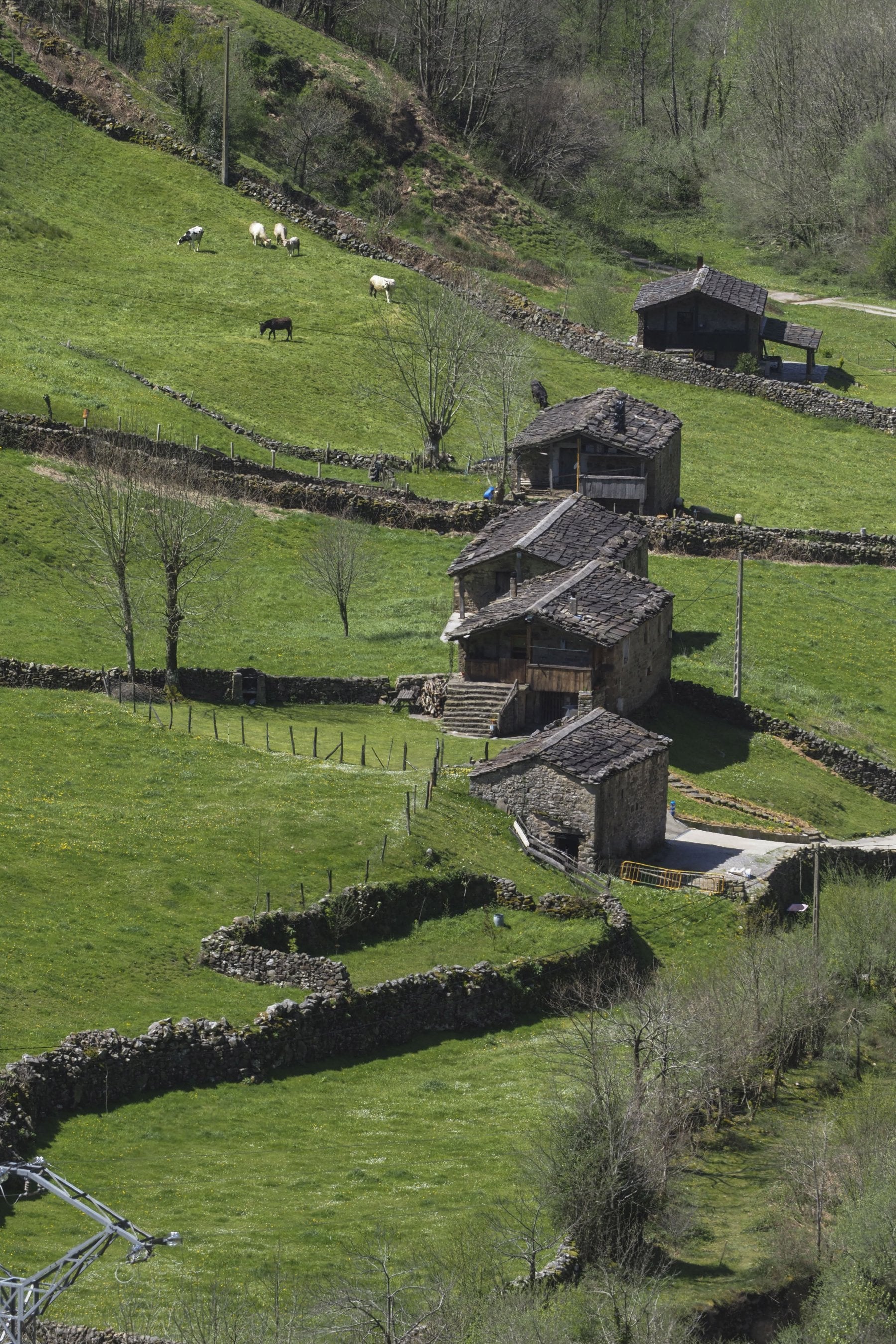 El PP vence en la 'Cantabria vacía'