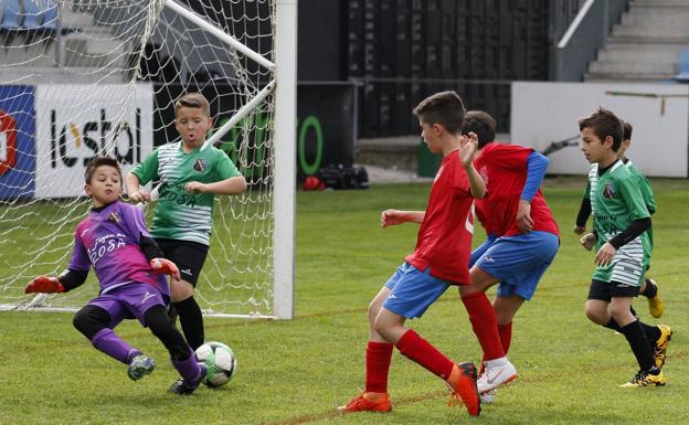 Más de mil niños jugarán el Torneo de Fútbol Ciudad de Torrelavega, el antiguo 'Torneo Alvarito'