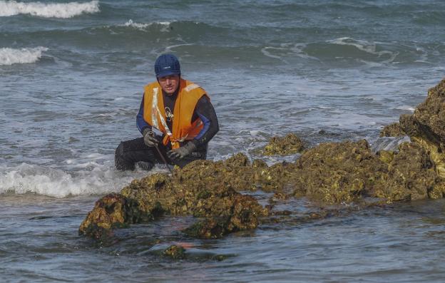 «Piden requisitos absurdos para pescar erizos y anémonas»