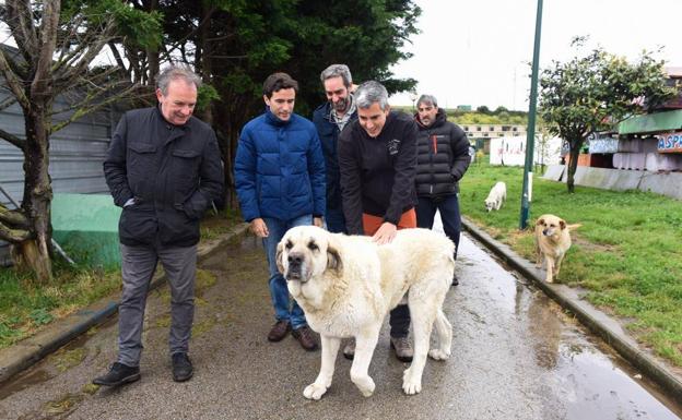 Zuloaga se compromete con el 'sacrificio cero' de animales la próxima legislatura