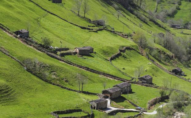 Aprobado definitivamente el presupuesto de Vega de Pas para 2019