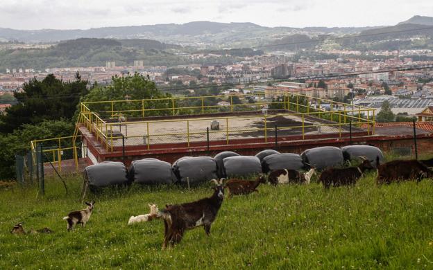 El Gobierno licita la obra para garantizar el suministro de agua en las zonas altas de Torrelavega