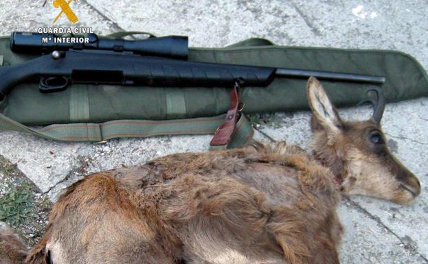 La Guardia Civil investiga a cuatro furtivos por cazar dos rebecos en el Parque Nacional de Picos de Europa