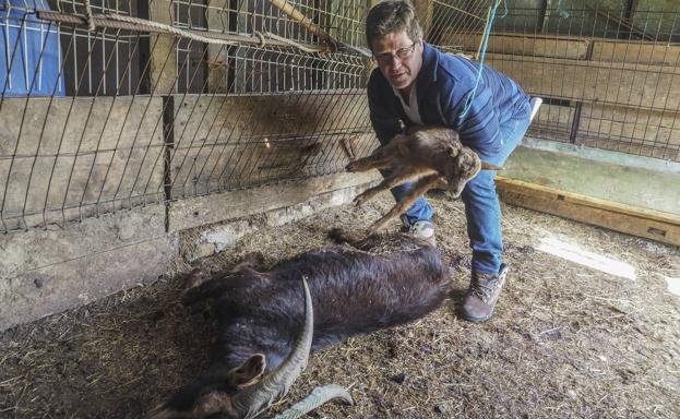 «Una cosa es que te roben... esto es un crimen»