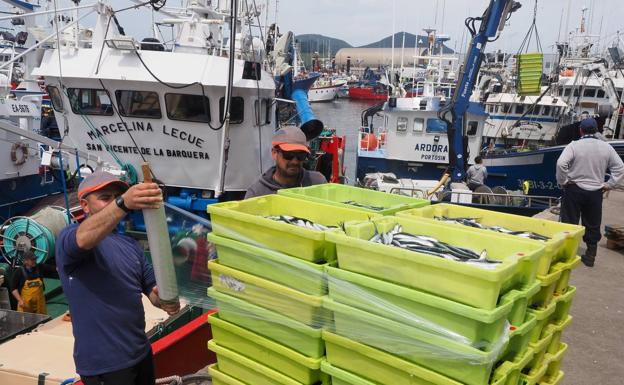 La flota cantábrica concluye la costera del bocarte con 21.000 toneladas, 7.782 descargadas en Cantabria