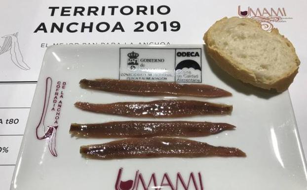 Territorio Anchoa busca quesos para maridaje perfecto