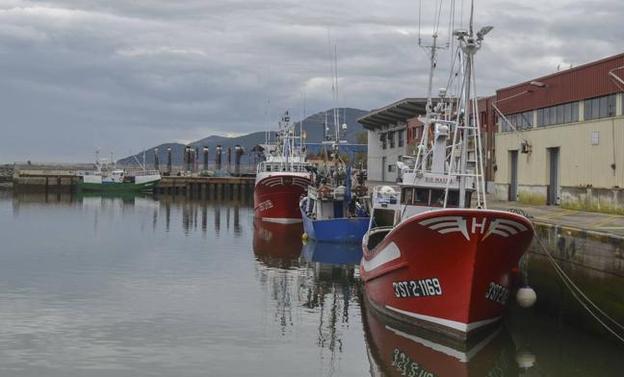 Las cofradías critican que «tener que fichar en los barcos es un despropósito»