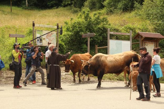 Bendición del ganado en el monasterio de Santo Toribio