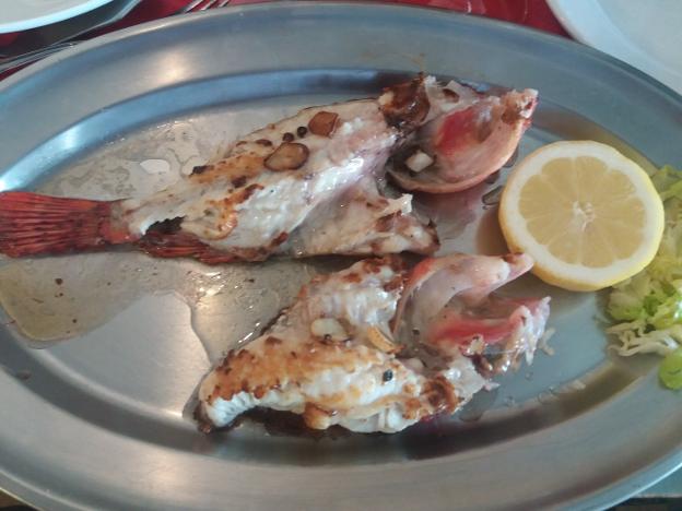 Aromas de mar el Acuario de El Sardinero