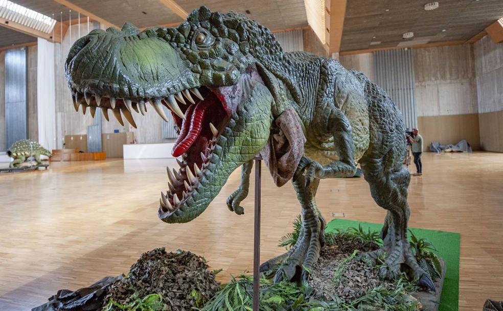 Tres horas y 200 piezas para montar el T-rex en Santander