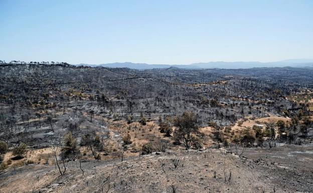 El incendio de Tarragona, a punto de ser controlado