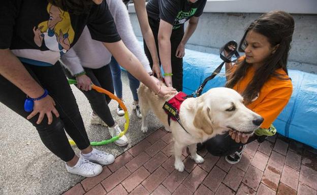 Perros para ganar en salud
