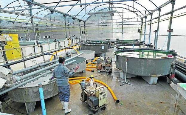 El juzgado declara en concurso a Sonrionansa por una deuda heredada con la Seguridad Social