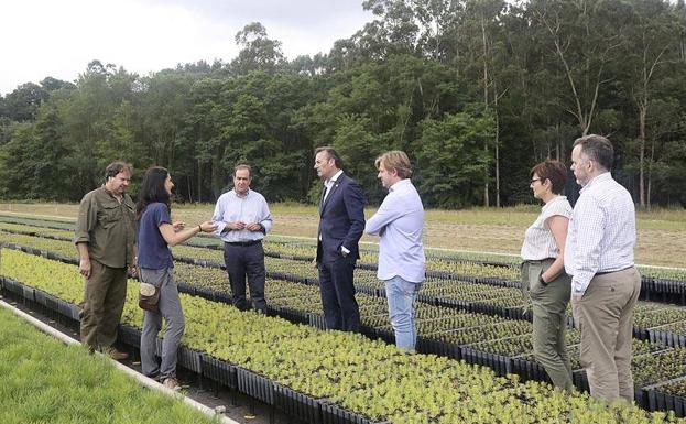 El Centro Forestal de Villapresente preservará las especies en peligro de extinción de Cantabria