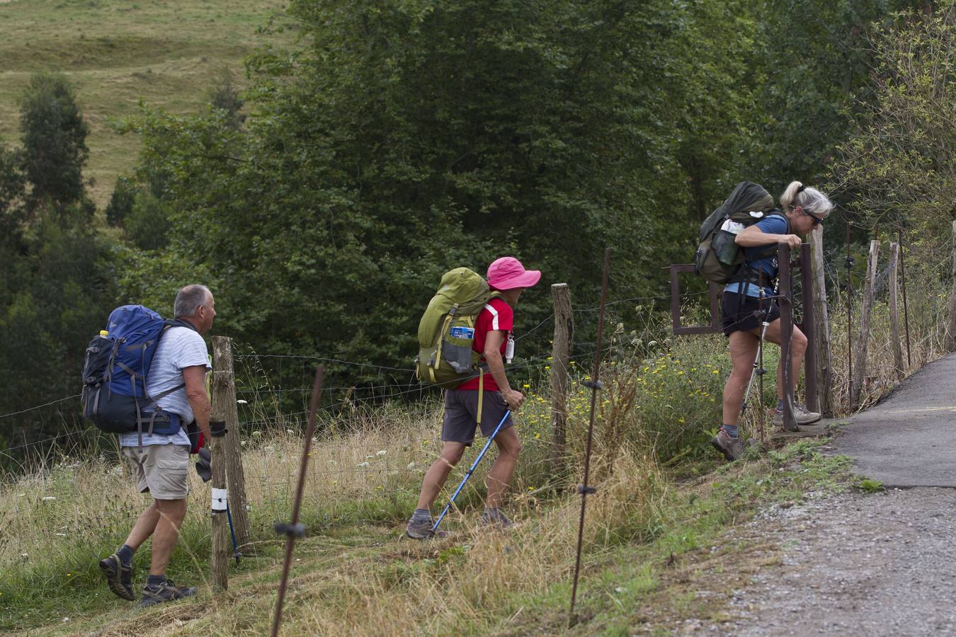 Cae un grupo delictivo dedicado a robar en albergues del Camino de Santiago