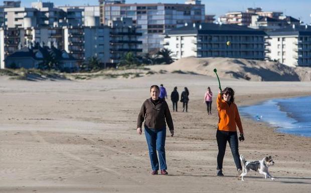 Laredo creará una zona acotada para perros en la playa Salvé