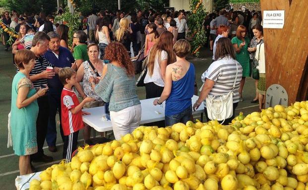 Tres toneladas de limones para la fiesta del sábado en Novales