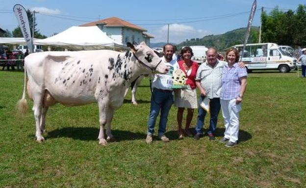 Buen ganado frisón en el Concurso Valle de Carriedo