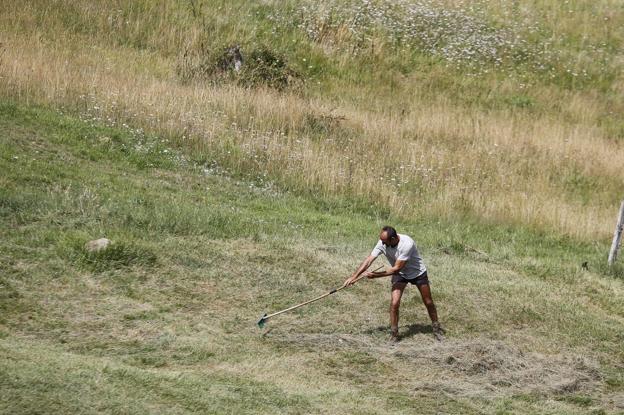 A la hierba con 38 grados