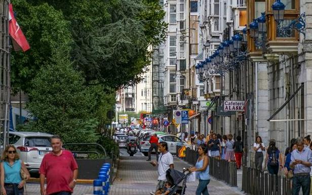 Vecinos de Pombo piden que se poden o se trasladen 18 magnolios gigantes