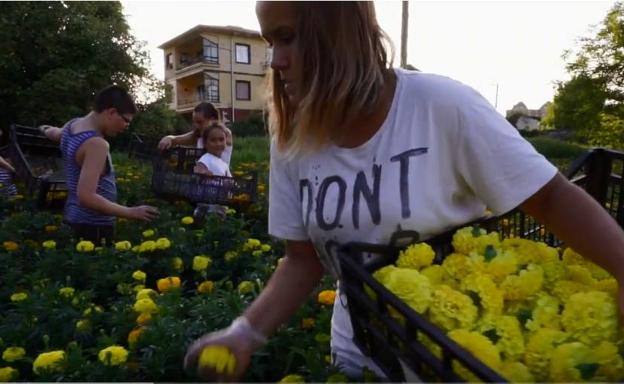 Así se prepara la Batalla de Flores de Laredo