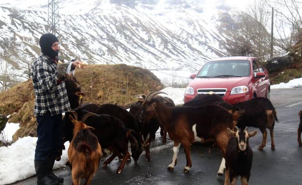 Ajudicada la mejora de la CA-643 hasta La Concha en San Roque