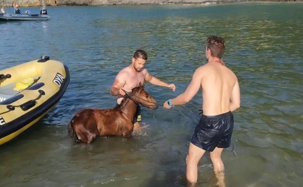 El exitoso rescate de un caballo que saltó en Saltacaballo