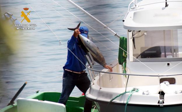 La Guardia Civil denuncia a tres vecinos de Castro Urdiales por la pesca ilegal de bonitos