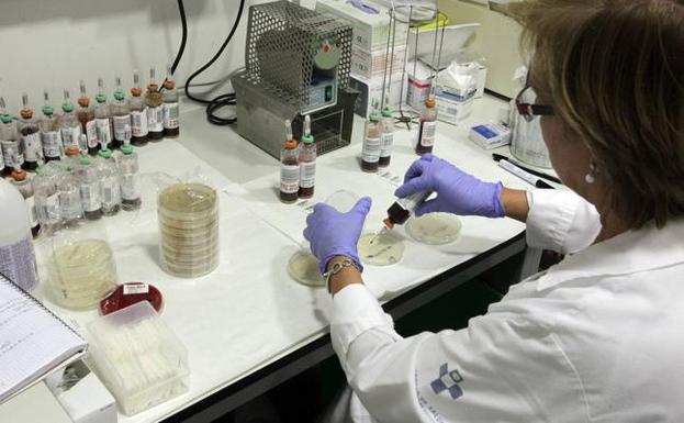 Sanidad dice que «no hay riesgo» de que el brote de listeriosis afecte a la región