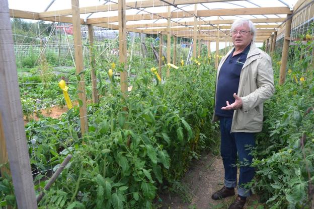 A la reconquista del sabor: apasionada defensa de los tomates antiguos