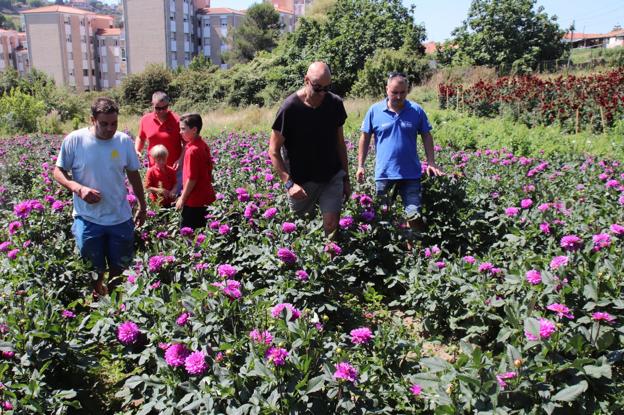 La Batalla de Flores de Laredo contará con seis carrozas menos que en 2018