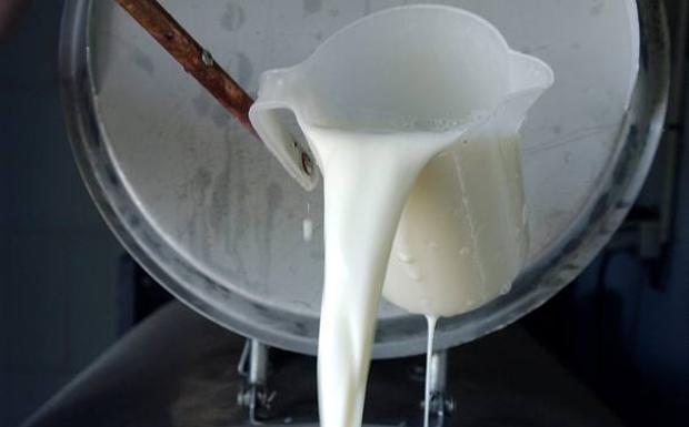 Blanco pide no comprar leche a pérdidas al no favorecer a nadie en Cantabria