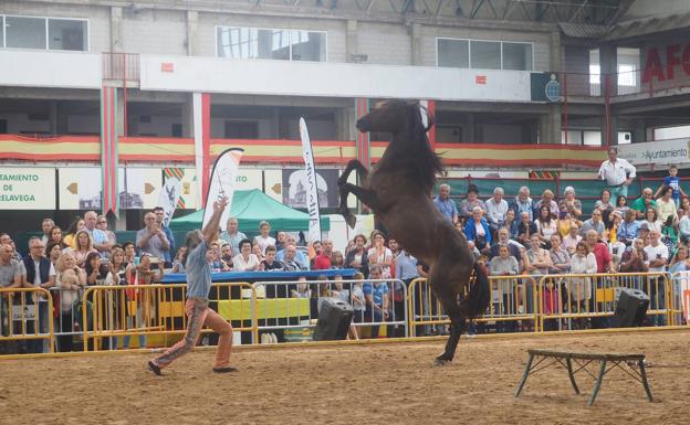 Fiesta del caballo en el Ferial