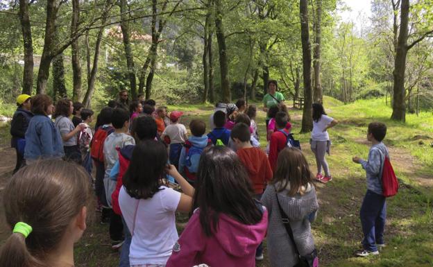 La Fundación Naturaleza y Hombre organiza una recogida de semillas en El Pendo