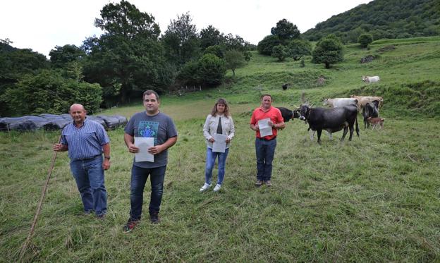 «No encontramos las vacas ni vivas ni muertas»