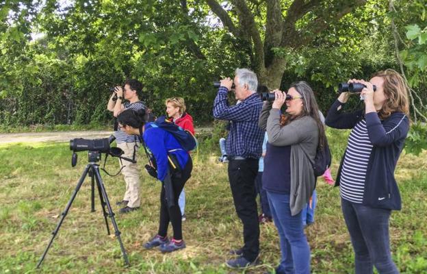 Ecoturismo Marina de Cudeyo, «viento en popa»