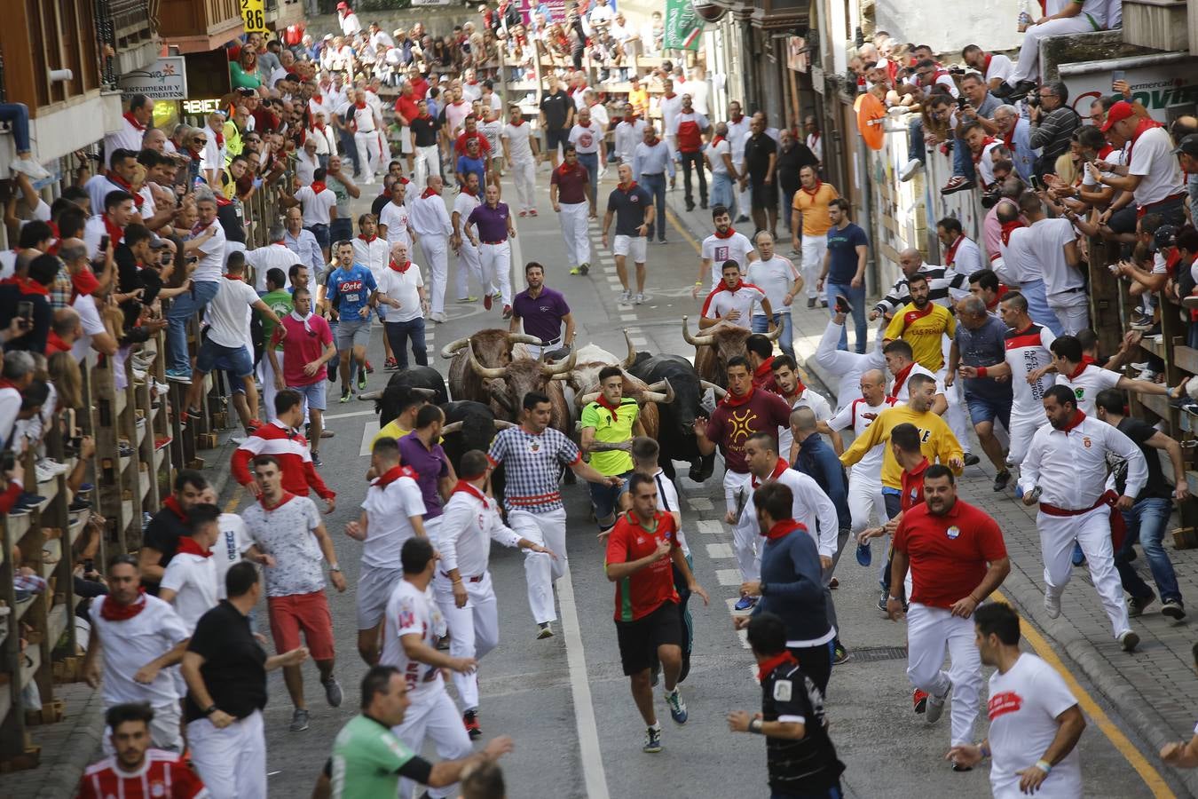 A la carrera por Ampuero