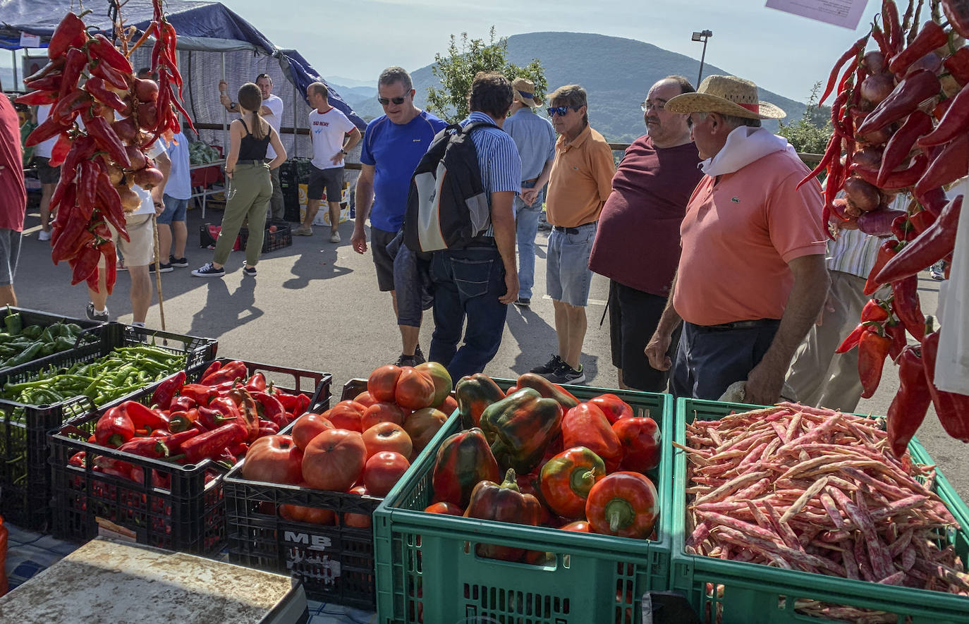 El mejor pimiento de Cantabria está en Isla