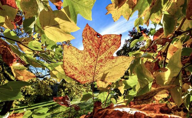 Cantabria tendrá un otoño más cálido de lo normal