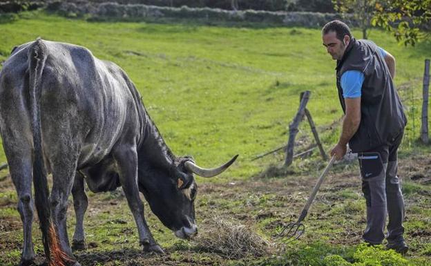 57 jóvenes ganaderos y agricultores podrán estrenar instalaciones con ayudas públicas