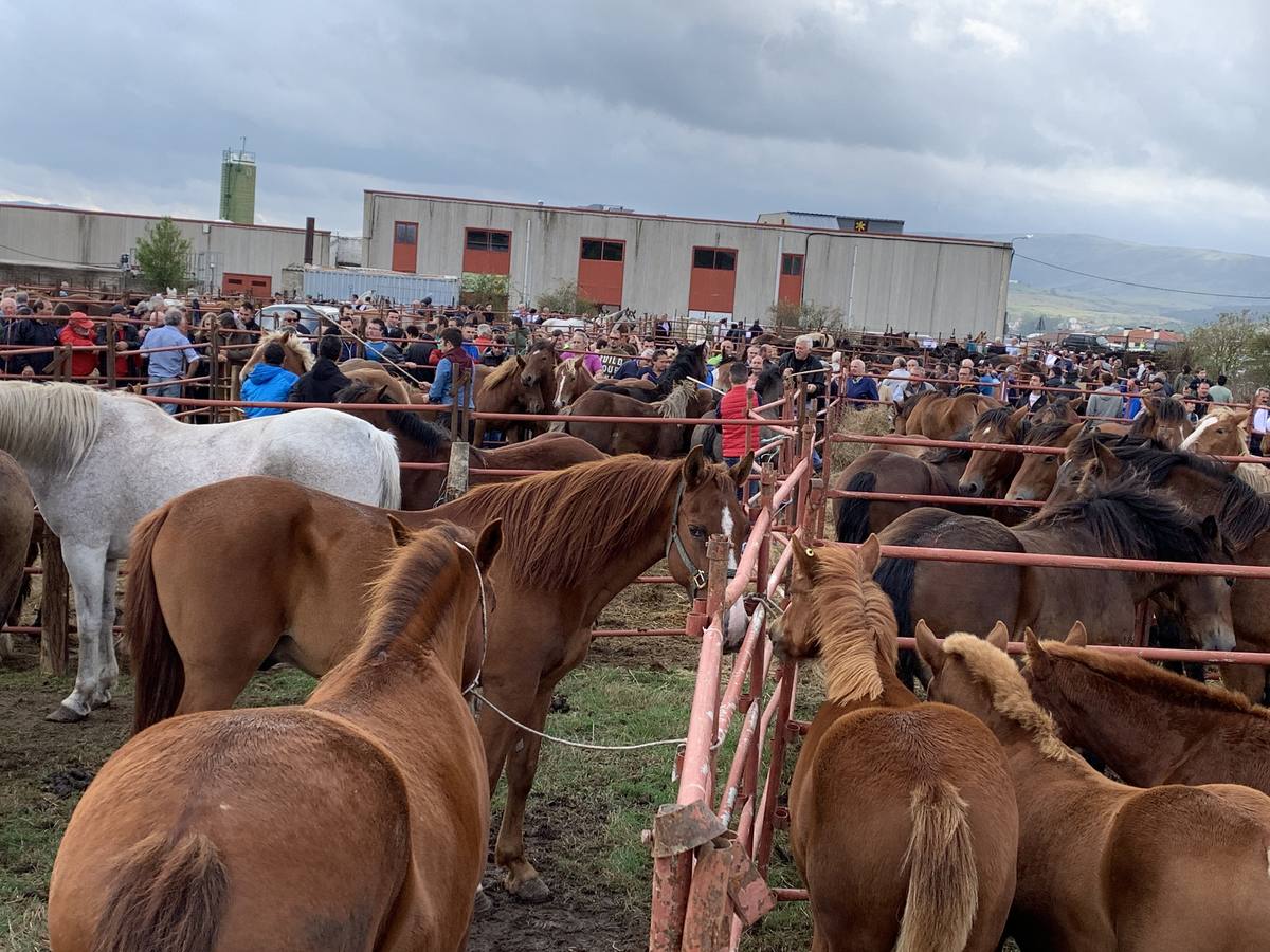 Cientos de personas se dan cita en la Feria de San Mateo en Reinosa