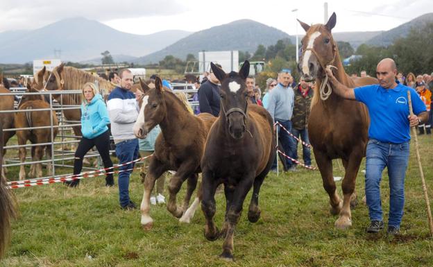 Reinosa celebra un San Mateo multitudinario